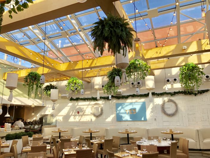 the silk thumb hanging baskets for summer house santa monica lettuce