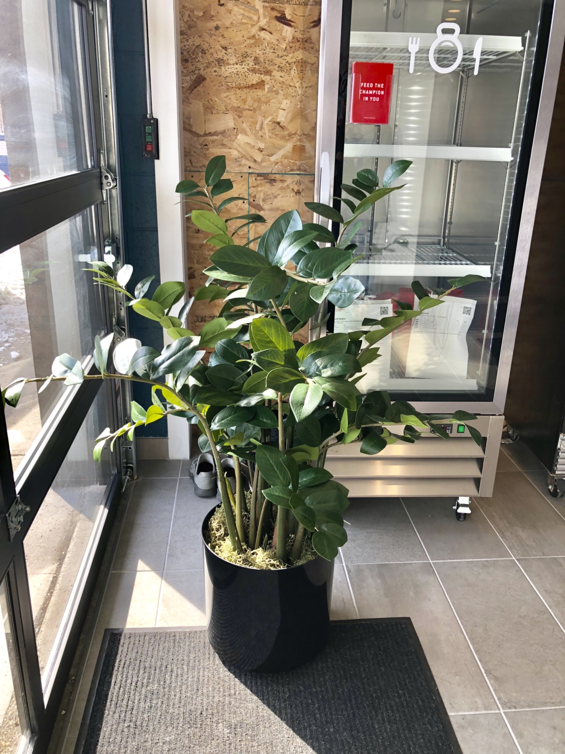 Faux plants ZZ plants realistic permanent synthetic silk thumb