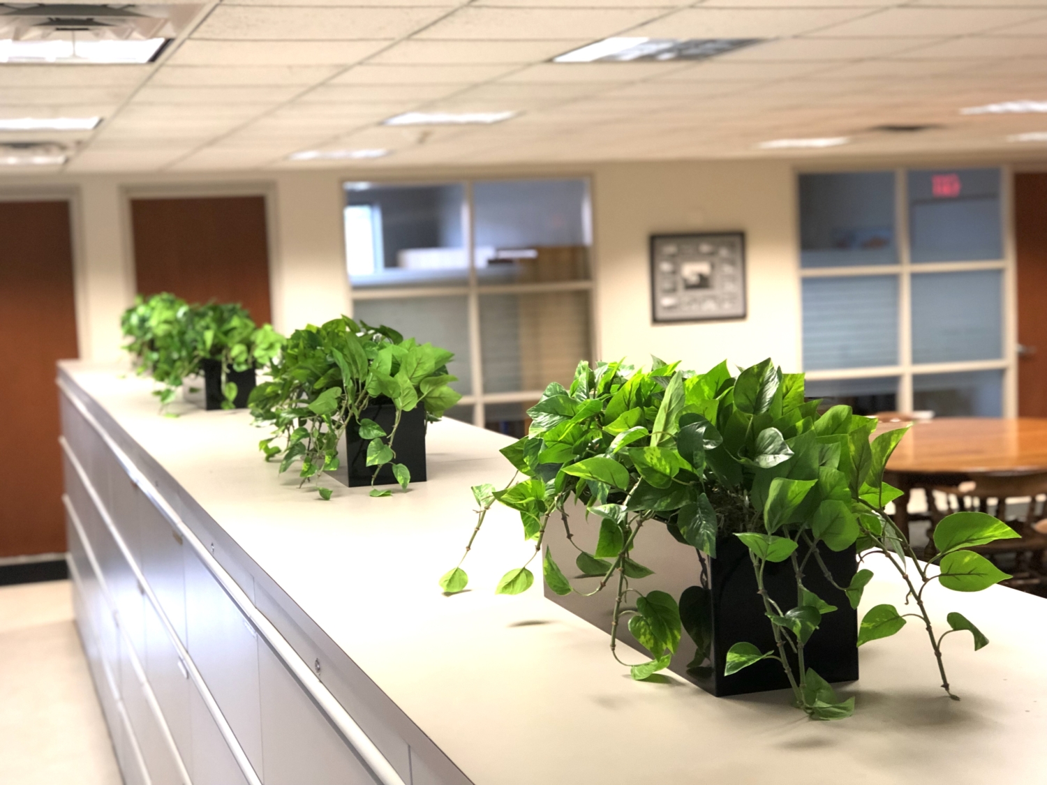 Corporate & Commercial Spaces Silk Thumb