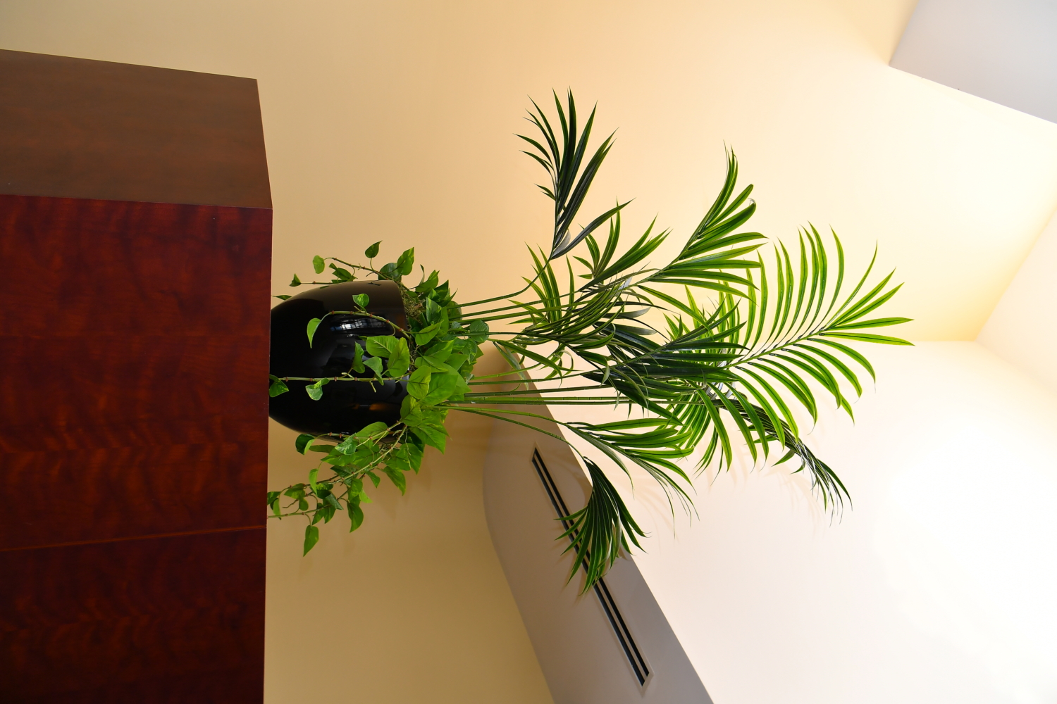 office plant office plants silk plants fake plants artificial trees