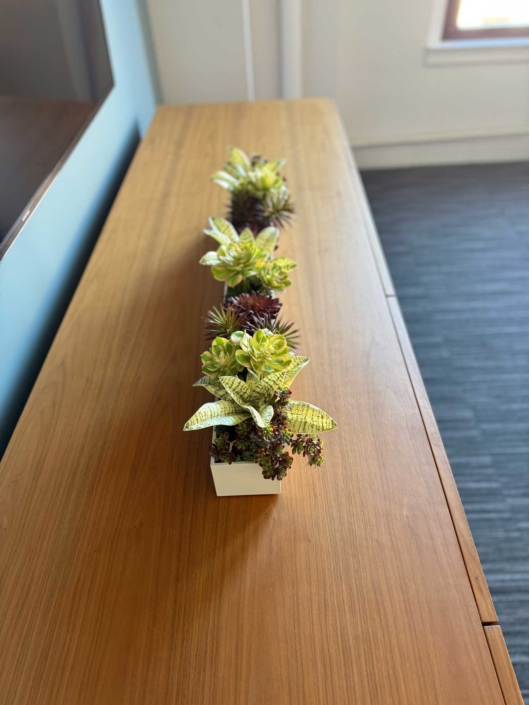 office-plants-succulents-the-silk-thumb-fake-plants-1-1