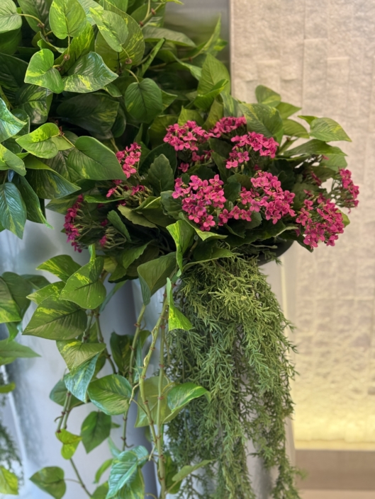 silk plants kalanchoe plant greenery commercial property skin spa faux plants design the silk thumb
