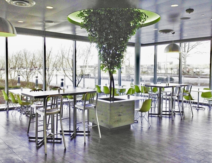 Custom made 10' Replica Ficus Tree for a corporate office