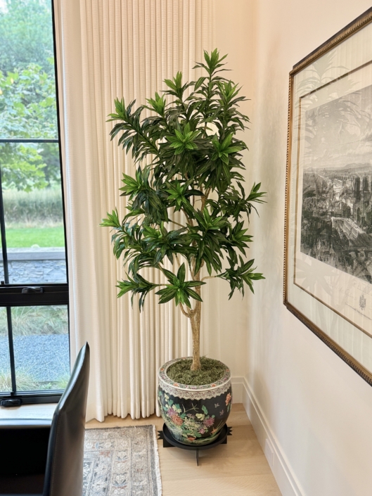 6′ Dracaena Marginata silk plants faux plants fake trees